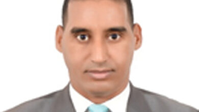 صورة العاطل عن العمل: التلطُّف والرفق لا يردعان فظاظة التنمّر والتغوّل! / سيد أحمد أعمر محّم