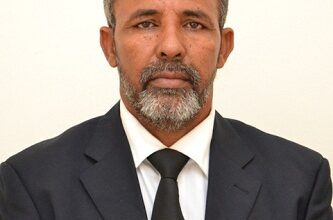 صورة قراءة انطباعية في وظيفة وزير (2) / محمد الأمجد ولد محمد الأمين السالم