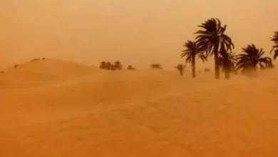 صورة الأرصاد الجوي يتوقع رؤية متدنية في أغلب ولايات الوطن