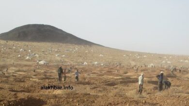 صورة بعثة تتفقد مواقع للتعدين الأهلي بولايات الوسط والجنوب
