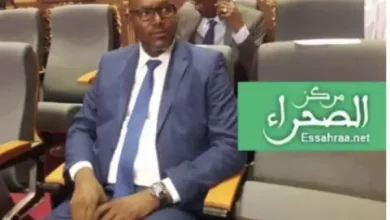صورة زعيم المعارضة يدعو للضغط على الحكومة المالية للحيلولة دون تكرار “المجازر”