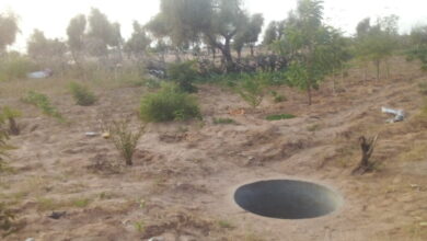 صورة كيفة: انتزاع قطعة أرضية استثمرت ثلاثين سنة لصالح اقتطاع ريفي مزور (فيديو)