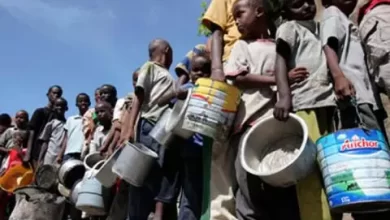 صورة وكالات إغاثة: دول غرب إفريقيا تواجه “أسوأ أزمة غذاء” في تاريخها