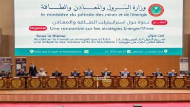 صورة رئيس الجمهورية يشرف على افتتاح ندوة حول استراتيجيات الطاقة والمعادن