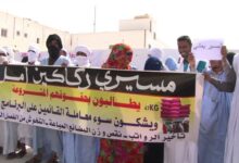 صورة المفوضية تستغني عن خدمات ثلاثمائة حارس من عمال برنامج أمل