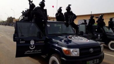 صورة الطينطان: الدرك يحيل شبكة متخصصة في سرق المواشي إلى القضاء