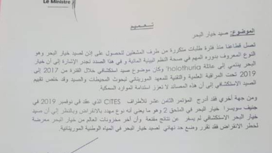 صورة وزارة الصيد تبلغ الصيادين بحظر صيد خيار البحر