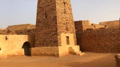 صورة علماء وأئمة: شنقيط: يستنكرون تصريحات المسؤول الهندي:ويعتبرونها معادية