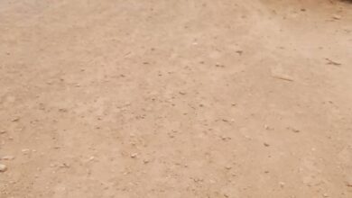 صورة حاكم كرو ينتزع من مكفوف أرضه ويمنحها لخصمه ويسجن زوجته وبنته
