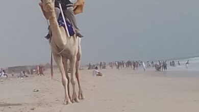 صورة أيام الحر تدفع كثير من المواطنين إلى الاستجمام على شواطئ المحيط (تقرير)