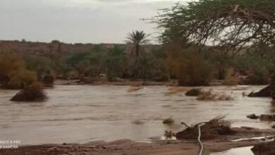 صورة عمدة ودان يطلق نداء استغاثة بعد هطول مطر غزير على المدينة (خاص)