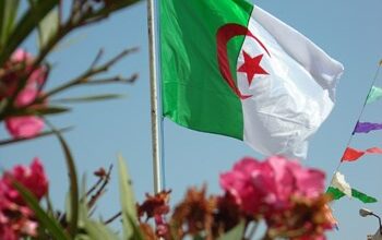 صورة الجزائر تستعد لاحتفالات ضخمة بمناسبة الذكرى الـ60 لاستقلالها