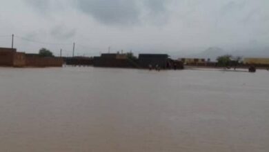 صورة الجيش الوطني ينجح في إنقاذ أسرة حاصرتها السيول في ولاية آدرار