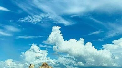 صورة تساقطات مطرية على مناطق واسعة من موريتانيا