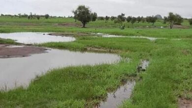 صورة تساقطات مطرية على مناطق متفرقة من البلاد (مقاييس)