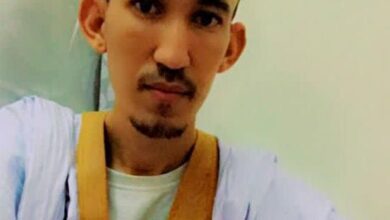 صورة النظرية الجمالية في التجريد بين الحضارة والفنون الإسلامية والفنون الغربية