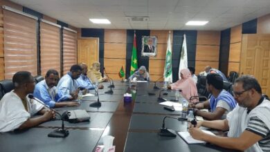 صورة جهة نواكشوط تطلق حملة لتعقيم المستنقعات داخل العاصمة