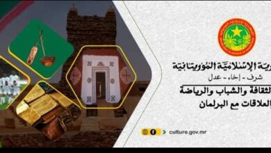 صورة بيان؛ توضيح للرأي العام.