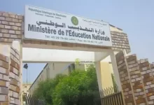 صورة مشروع قانون جديد ينص على التدريس باللغة الأم في المرحلة الابتدائية