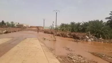 صورة تساقطات مطرية متفاوتة في ولايات موريتانية مختلفة (مقاييس)