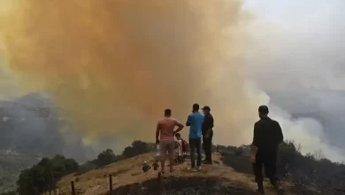صورة ارتفاع حصيلة قتلى حرائق غابات الجزائر إلى 41 شخصا