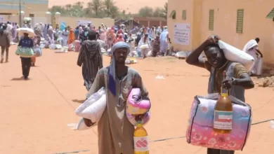 صورة مفوضة الأمن الغذائي: دعمنا أسعار 13 ألف طن من المواد الغذائية