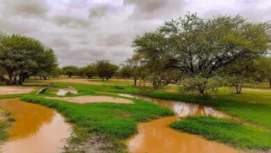 صورة 29بلدة بلغت الأمطار فيها حاجز الـ100مم