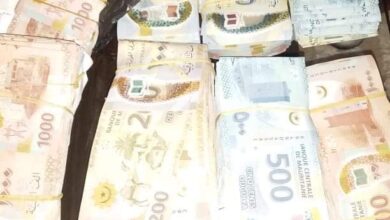 صورة الشرطة تعلن القبض على عصابة متهمة بسرقة 20 مليون أوقية