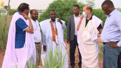 صورة الوزير الأول: الحكومة قطعت عطلتها لإسعاف المواطنيين 