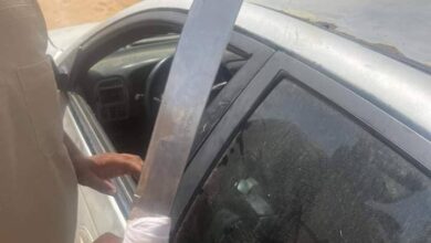 صورة عين الطلح.. لص يحمل سيف يضرب سيدة ويلوذ بالفرار