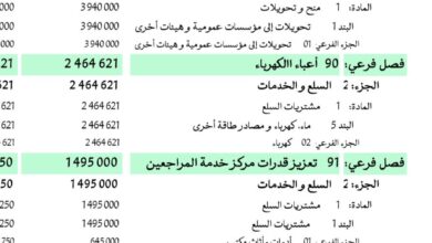 صورة 62 مليونا دعم خاص في الميزانية لاتحاد نقابي محسوب على السلطة