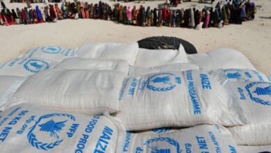 صورة الغذاء العالمي: وزعنا 1.9 مليون دولار نقدا في موريتانيا خلال شهر يوليو
