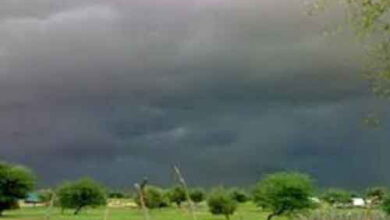 صورة تعرف على أرقام المطر الأخير بمقاطعات نواكشوط