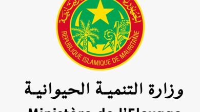 صورة مسؤول حكومي: التحاليل أكدت وجود حمى الوادي المتصدع بعدد من مناطق البلاد
