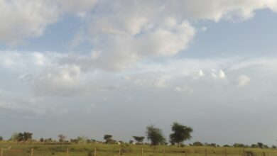 صورة موريتانيا.. أمطار على 7 ولايات (مقاييس)  