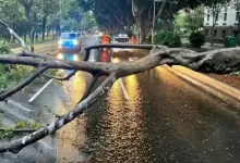صورة حوادث سير وإلغاء 215 رحلة.. عاصفة تضرب جزر الكناري  