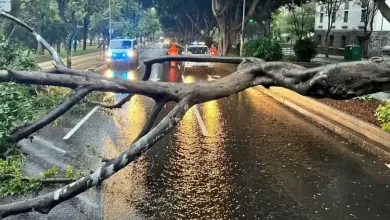 صورة حوادث سير وإلغاء 215 رحلة.. عاصفة تضرب جزر الكناري  
