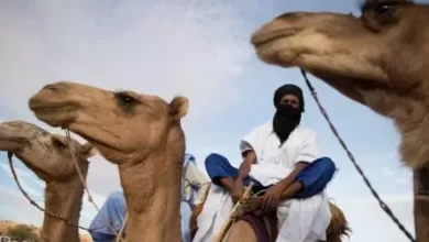 صورة انتشار حمى الواد المتصدع بمنطقة آوكار وتحرك رسمي محتمل لمواجهة أضراره