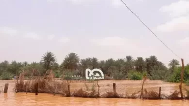صورة لجنة الطوارئ: ارتفاع منسوب النهر في لكصيبه 2 وتسرب مياه سد جيبابه