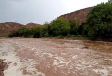 صورة عرفت مناطق من ولاية كيدي ماغه هطول أمطار متفاوتة، خلال الأربع والعشرين ساعة الأخيرة. جاءت على النحو التالي :