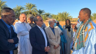 صورة وزير الزراعة يعاين عدد من الواحات المتضررة جراء السيول في مقاطعة أوجفت