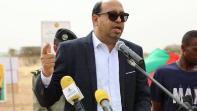 صورة وزير: 6% فقط من الجلود بموريتانيا تصل مرحلة التصنيع