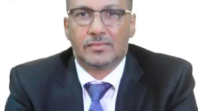 صورة زين العابدين: ارتفاع سعر البصل والبطاطا سببه اضطراب البحر