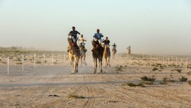 صورة انطلاق فعاليات بطولة موريتانيا الدولية لسباقات الهجن بواد الناقة