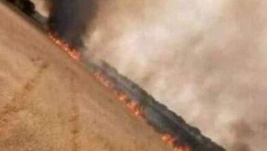 صورة عاحل: حريق هائل في مساحات رعوية قرب الطينطان