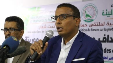 صورة 🔴عاجل منتدى المستهلك: بطاطس سامة تتسرب للأسواق ونحمل المسؤولية لوزارة الزراعة