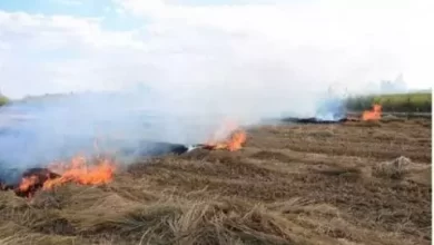 صورة خلال يوم الجمعة.. الأرصاد تتوقع حرائق في ثلاث ولايات موريتانية