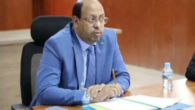 صورة وزير التنمية الحيوانية: من الضروري إيجاد لقاحات للأمراض الشائعة لدى المواشي