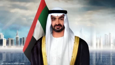 صورة بن زايد يلغي توقفه لعدة ساعات في نواكشوط