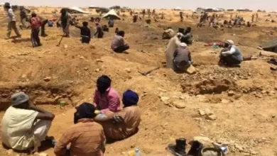 صورة تعرف على منطقة “تمايه” التي أعلن الرئيس ضمها لأروقة معادن